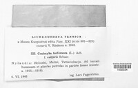 Image Associated With the Occurence